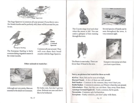 2002 road trip vacation to California